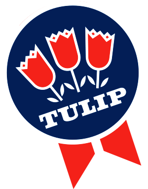 http://konweb.ru/wp-content/uploads/tulip_300.png