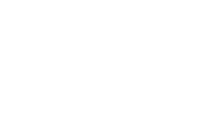https://konweb.ru/wp-content/uploads/udp_logo_d_181.png